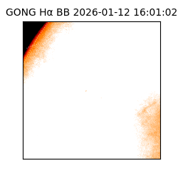 gong - 2026-01-12T16:01:02