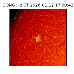 gong - 2026-01-12T17:00:42