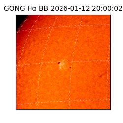 gong - 2026-01-12T20:00:02