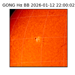 gong - 2026-01-12T22:00:02