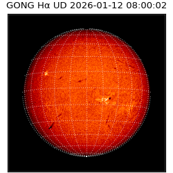 gong - 2026-01-12T08:00:02
