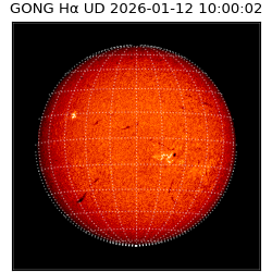 gong - 2026-01-12T10:00:02