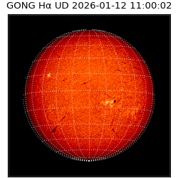 gong - 2026-01-12T11:00:02