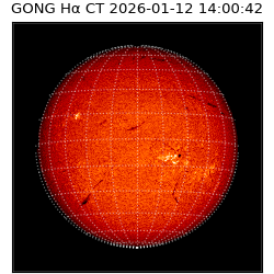 gong - 2026-01-12T14:00:42