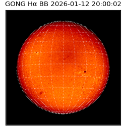 gong - 2026-01-12T20:00:02