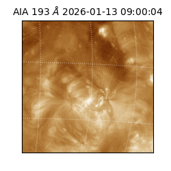 saia - 2026-01-13T09:00:04.840000