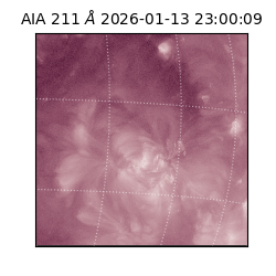 saia - 2026-01-13T23:00:09.630000