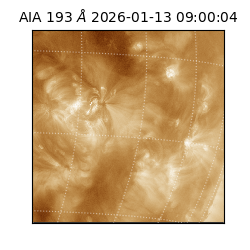saia - 2026-01-13T09:00:04.840000