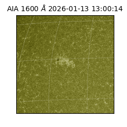 saia - 2026-01-13T13:00:14.130000