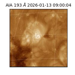 saia - 2026-01-13T09:00:04.840000