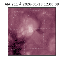 saia - 2026-01-13T12:00:09.630000