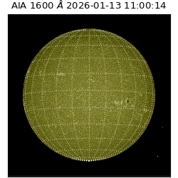 saia - 2026-01-13T11:00:14.130000