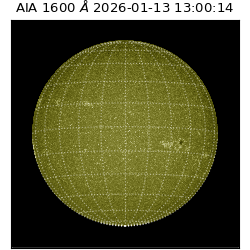 saia - 2026-01-13T13:00:14.130000