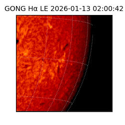gong - 2026-01-13T02:00:42