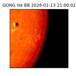 gong - 2026-01-13T21:00:02
