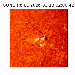 gong - 2026-01-13T02:00:42