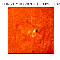 gong - 2026-01-13T09:00:02