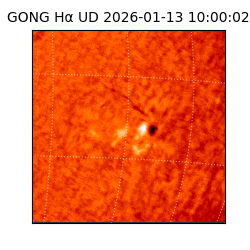 gong - 2026-01-13T10:00:02