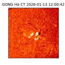 gong - 2026-01-13T12:00:42