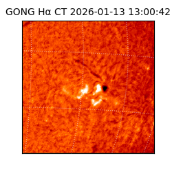 gong - 2026-01-13T13:00:42