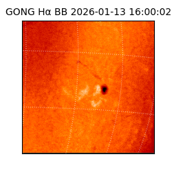 gong - 2026-01-13T16:00:02
