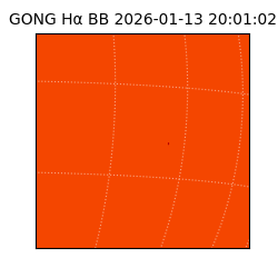 gong - 2026-01-13T20:01:02