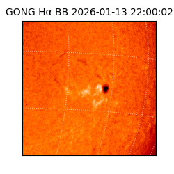 gong - 2026-01-13T22:00:02