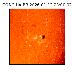 gong - 2026-01-13T23:00:02