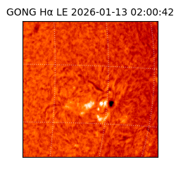 gong - 2026-01-13T02:00:42
