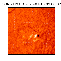 gong - 2026-01-13T09:00:02