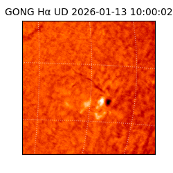 gong - 2026-01-13T10:00:02