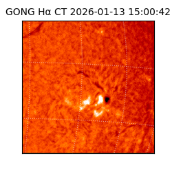 gong - 2026-01-13T15:00:42