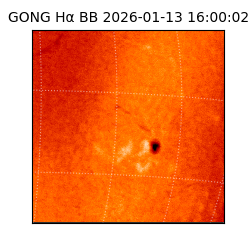 gong - 2026-01-13T16:00:02