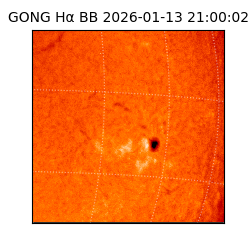gong - 2026-01-13T21:00:02