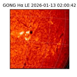 gong - 2026-01-13T02:00:42