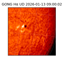 gong - 2026-01-13T09:00:02