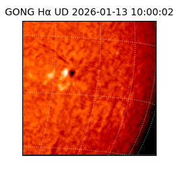 gong - 2026-01-13T10:00:02