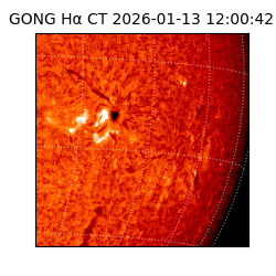 gong - 2026-01-13T12:00:42