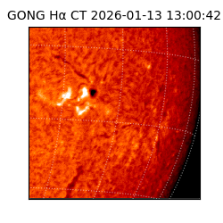 gong - 2026-01-13T13:00:42