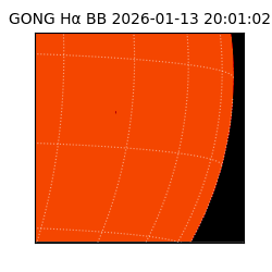 gong - 2026-01-13T20:01:02