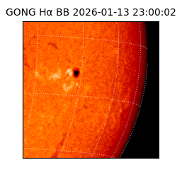 gong - 2026-01-13T23:00:02