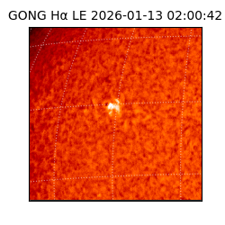 gong - 2026-01-13T02:00:42