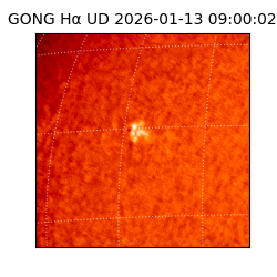gong - 2026-01-13T09:00:02