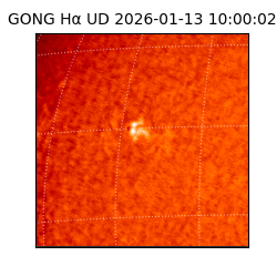 gong - 2026-01-13T10:00:02