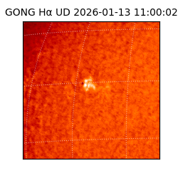 gong - 2026-01-13T11:00:02