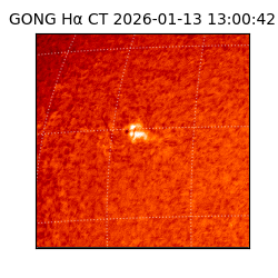gong - 2026-01-13T13:00:42