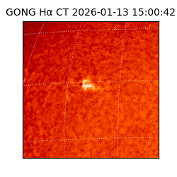 gong - 2026-01-13T15:00:42