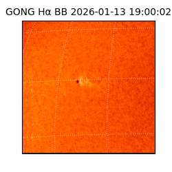 gong - 2026-01-13T19:00:02