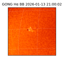 gong - 2026-01-13T21:00:02