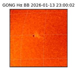gong - 2026-01-13T23:00:02